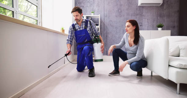 Best Residential Pest Control  in Seminole, FL